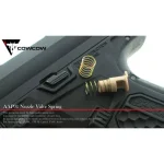 AAP01 Nozzle Valve Spring