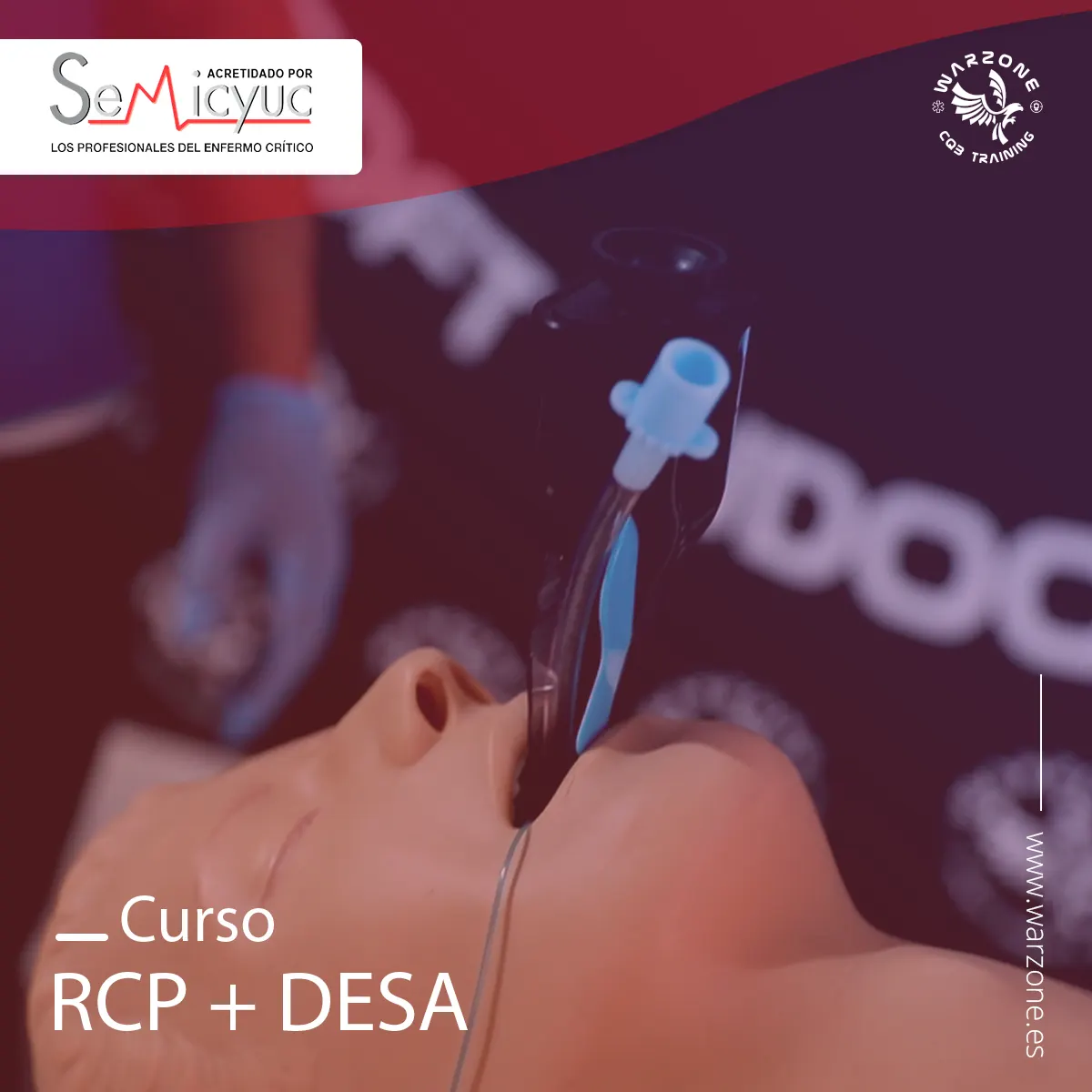 Curso de Soporte Vital Básico y DESA